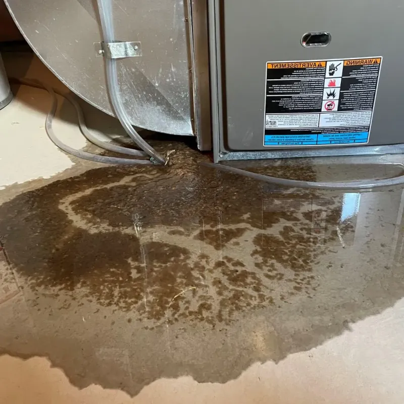 Pipe Burst and Leak Restoration in Jay County, IN